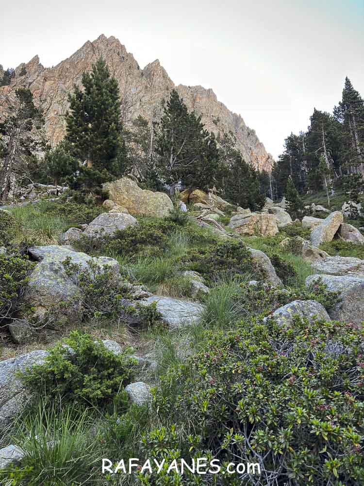 Ruta: Gran Encantat (2749 m.) (Els 100 Cims) Ruta: Gran Encantat (2749 m.) (Els 100 Cims)