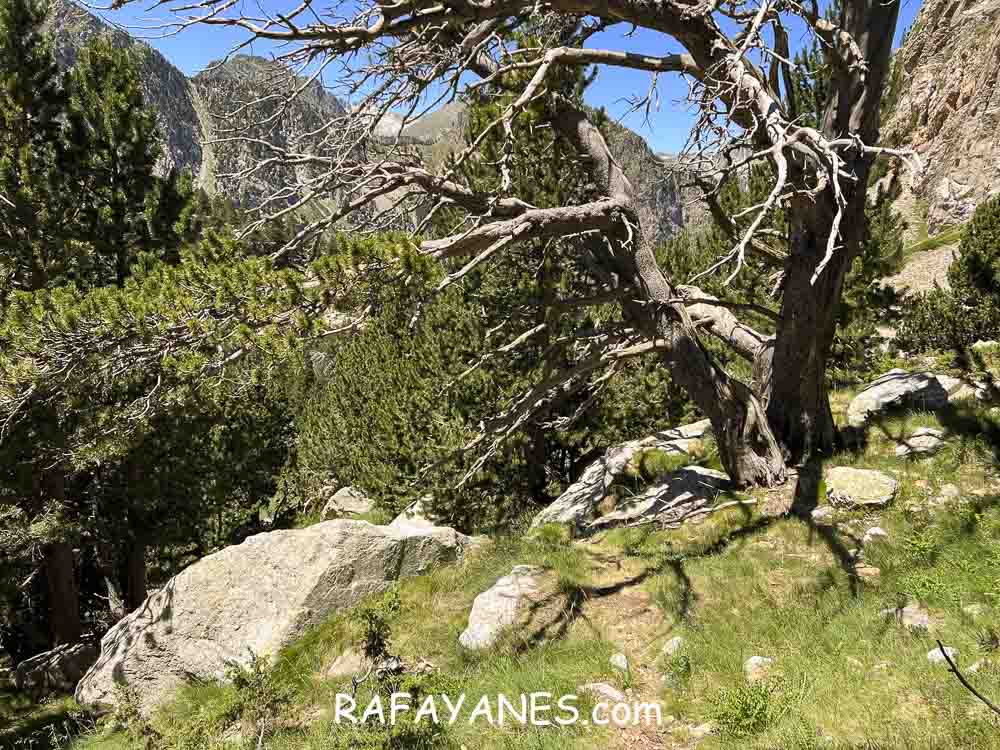 Ruta: Gran Encantat (2749 m.) (Els 100 Cims) Ruta: Gran Encantat (2749 m.) (Els 100 Cims)