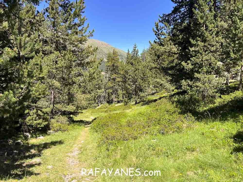 Ruta: Gran Encantat (2749 m.) (Els 100 Cims) Ruta: Gran Encantat (2749 m.) (Els 100 Cims)